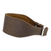 Leather Whippet/Greyhound Collar Brown