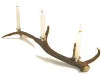 Stag Horn and Silver Plated Candelabra