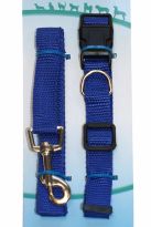 Collar and Lead set