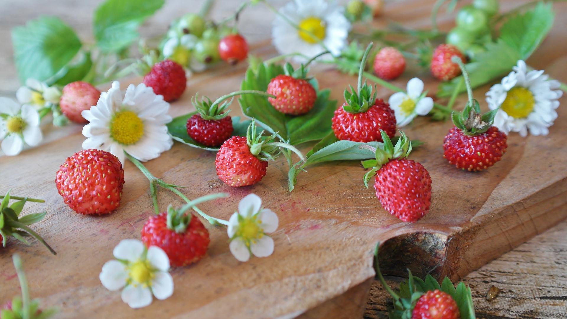 wild strawberries and flowers on a table